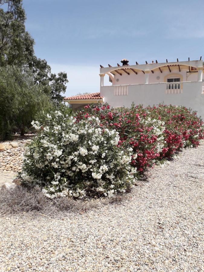Casa Gregory Villa Turre Exteriör bild
